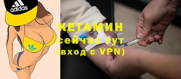 стаф Горняк