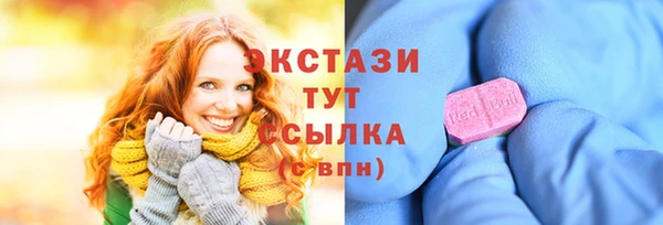стаф Горняк