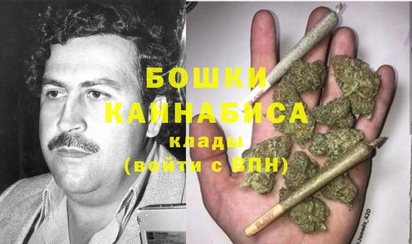 стаф Горняк