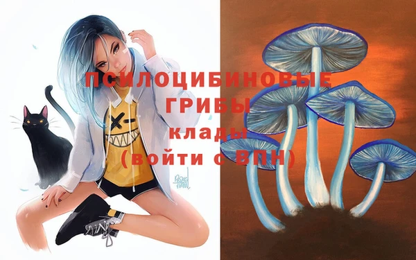 прущие крисы Горнозаводск