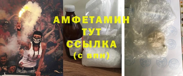 стаф Горняк